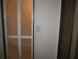 ƒoƒX